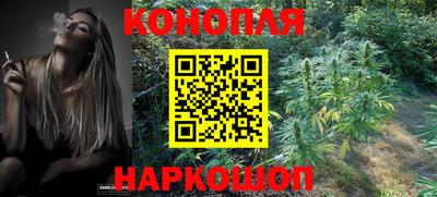 прущие крисы Заводоуковск
