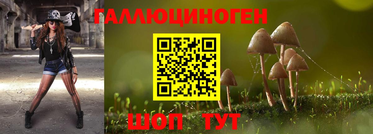 Псилоцибиновые грибы ЛСД Камень-на-Оби